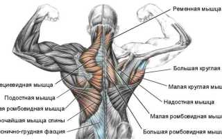 Отчего болят мышцы спины