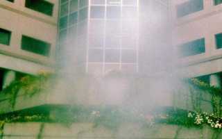 Болит голова пелена перед глазами что делать