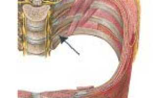 От нервов болит спина и ребра