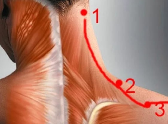 К какому врачу обратиться если болит шея и голова