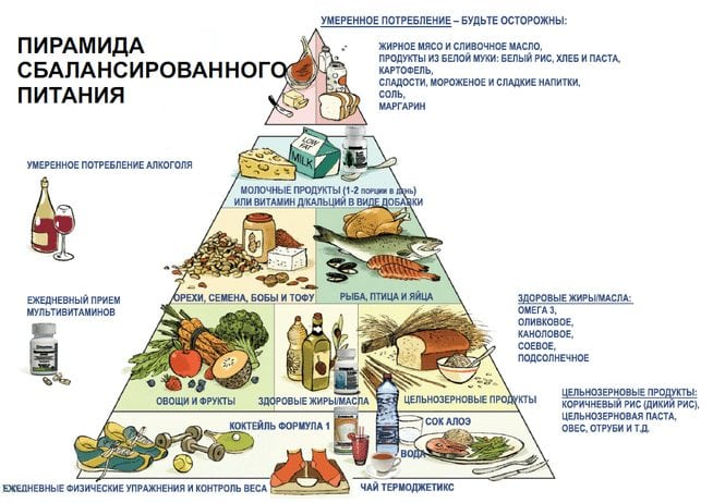 Пирамида сбалансированного питания