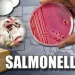 Сальмонеллез