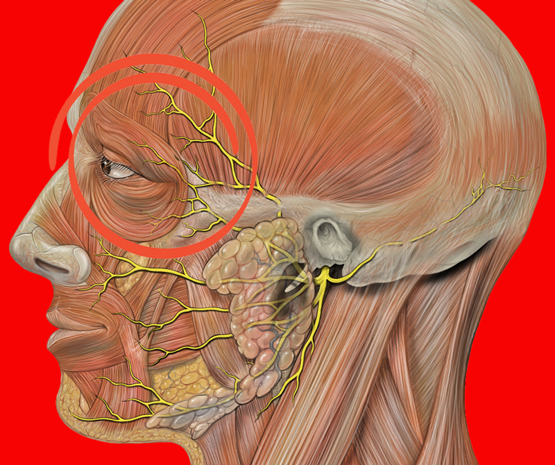 Если болит голова и давит на глаза: ЧТО делать