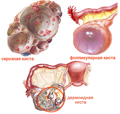 Болит спина у подростка к какому врачу