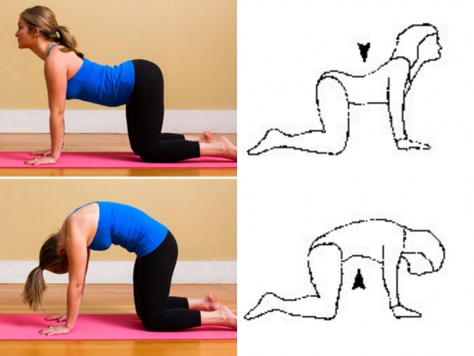 Болят суставы спина поясница ноги шея