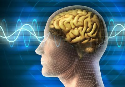 болит голова и слабость во всем теле