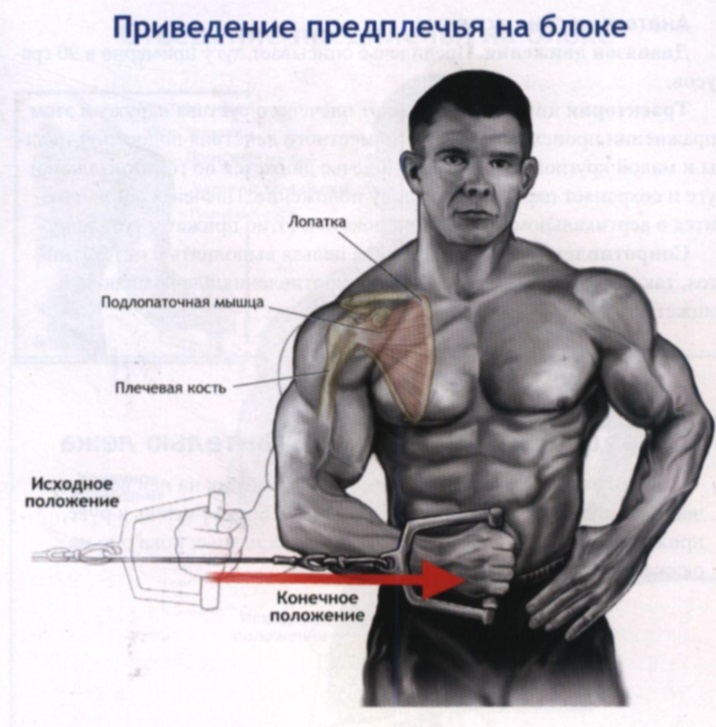 Отведение предплечья вбок с кабельной тягой