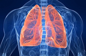 Заболевания легких Заболевания легких